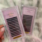 M Curl Lashes